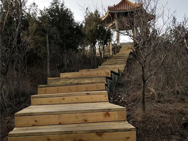 蟒山森林公園木質(zhì)棧道